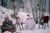 Зимняя свадьба: как сэкономить на декоре и цветах