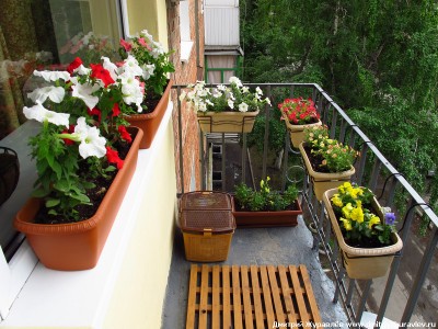 Цветы - элемент декора балкона