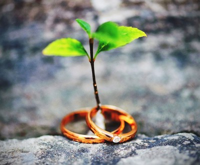 Экологические свадьбы – последний тренд